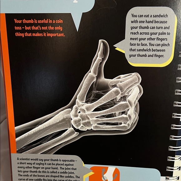 Klutz The Hand Book - Build a Skeleton Hand Kit - Picture 10 of 14